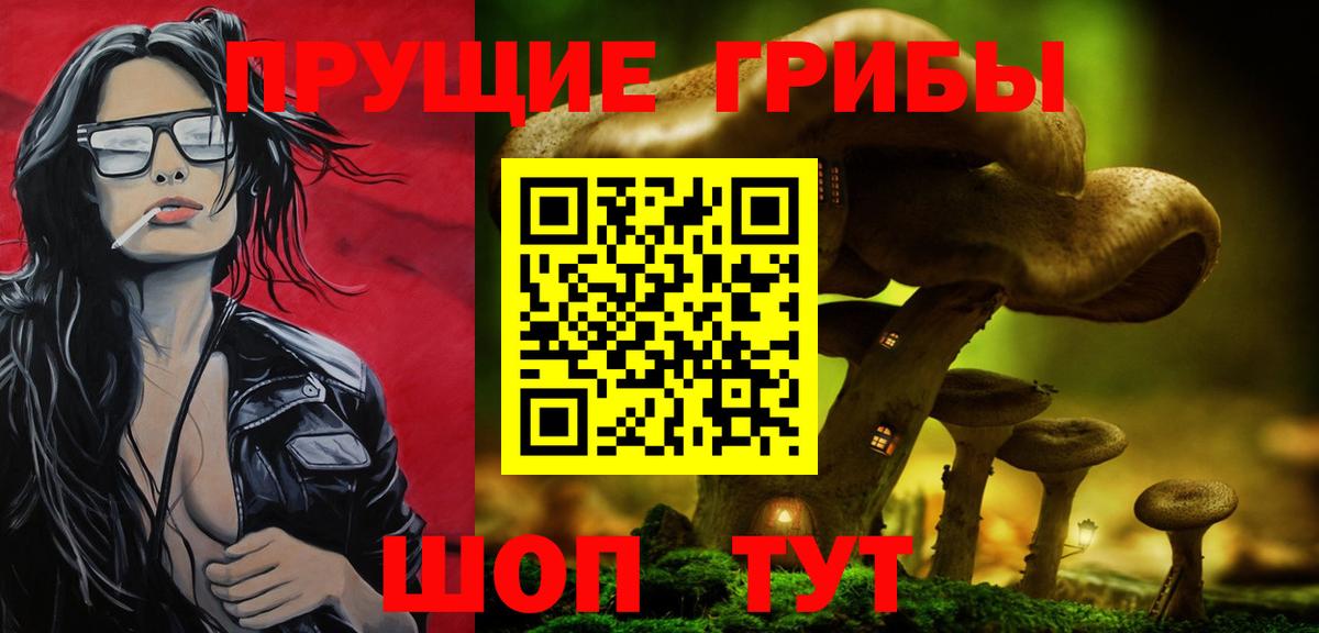 Галлюциногенные грибы GOLDEN TEACHER  где продают наркотики  Салават  Вход с VPN 