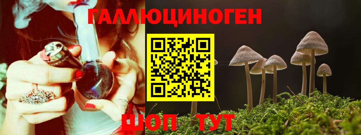 Галлюциногенные грибы GOLDEN TEACHER Салават